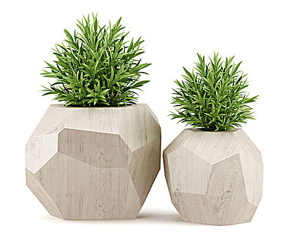 熊猫烧香化身瓢虫病毒_预计圣诞节前后爆发