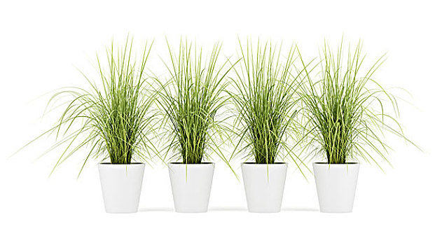 主板内置显卡和外置显卡冲突的解决